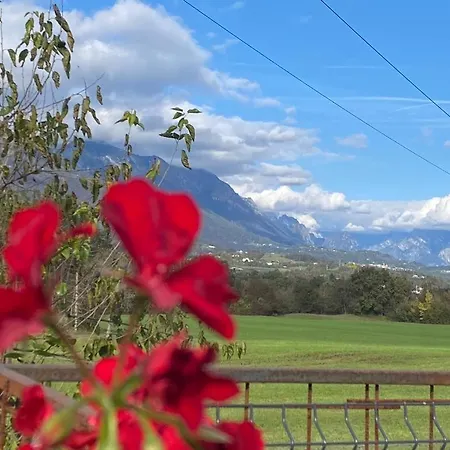 Il Roverso * Φέλτρε